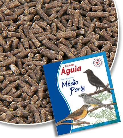 PRODUTO TESTE GRADE GRADE (P BRANCO)